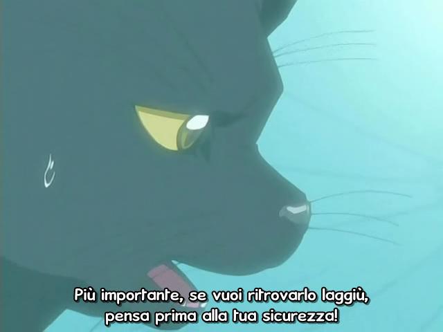 Otaku Gallery  / Anime e Manga / Bleach / Screen Shots / Episodi / 025 - Sfondare al centro con un enorme proiettile / 216.jpg